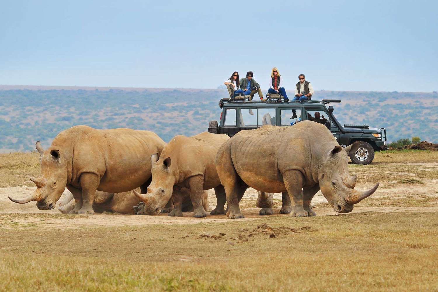 White rhinos in Akagera National Park, Rwanda